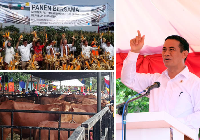 Mentan Malam Ini Pimpin Rakor Siwab di Surabaya setelah Panen Jagung di Kebumen